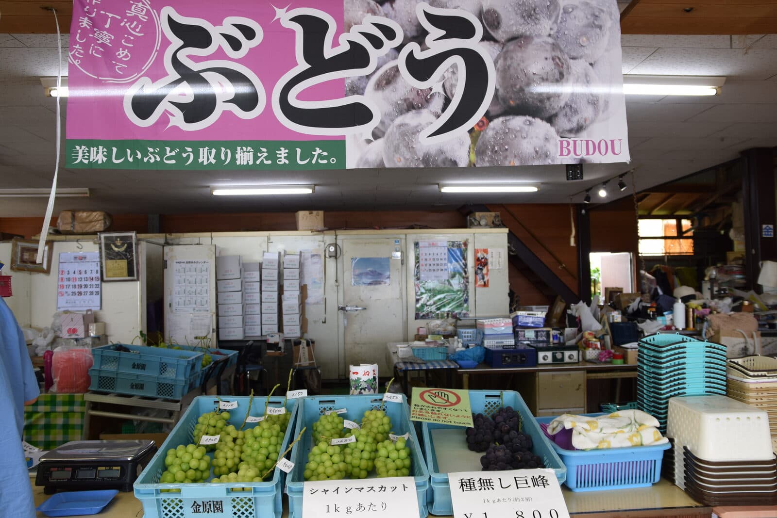 お邪魔した金原園さんの直売所。シャインマスカットや種無し巨峰が並びます